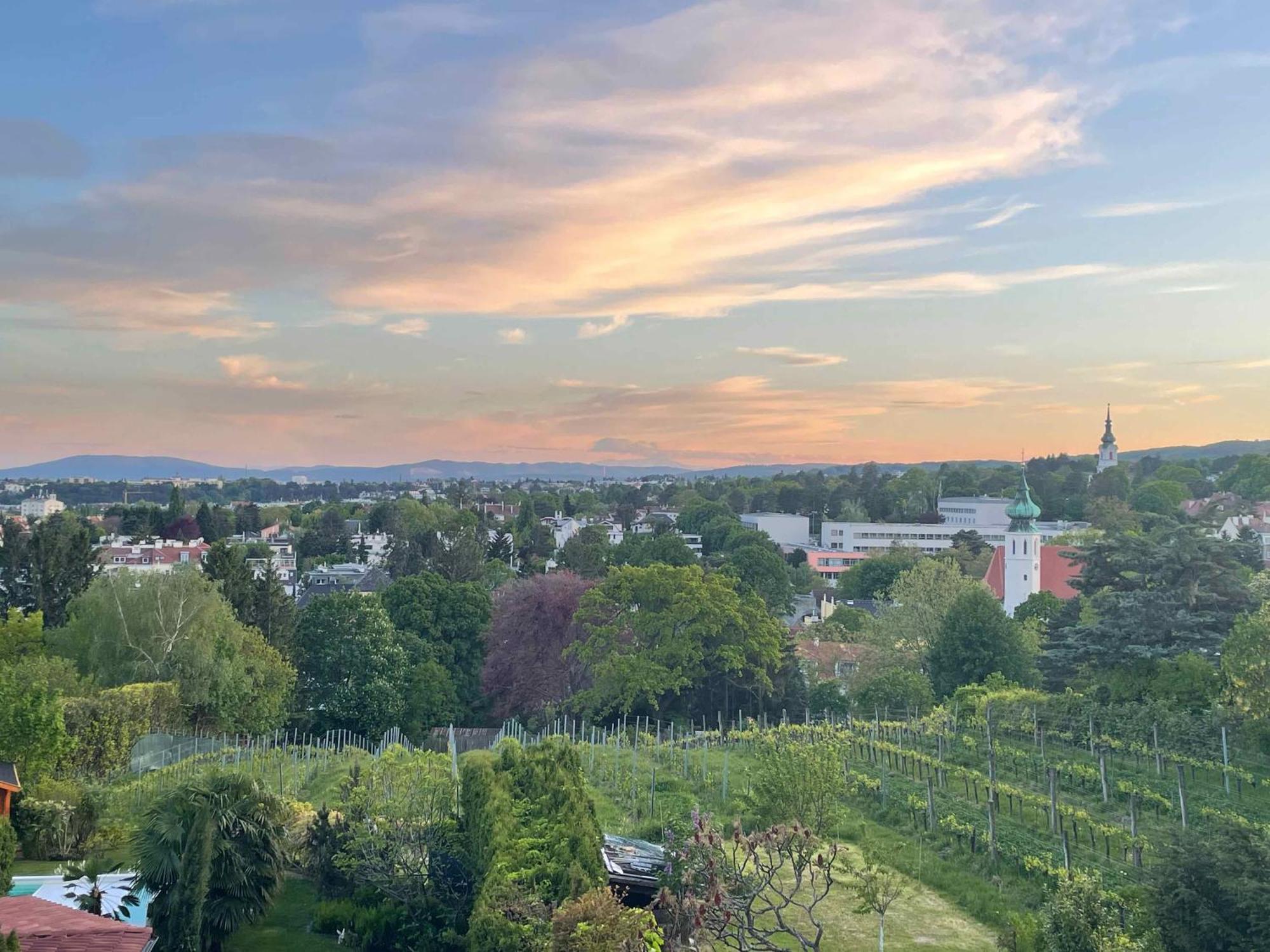 Herrlicher Ausblick Ueber Wien ภายนอก รูปภาพ