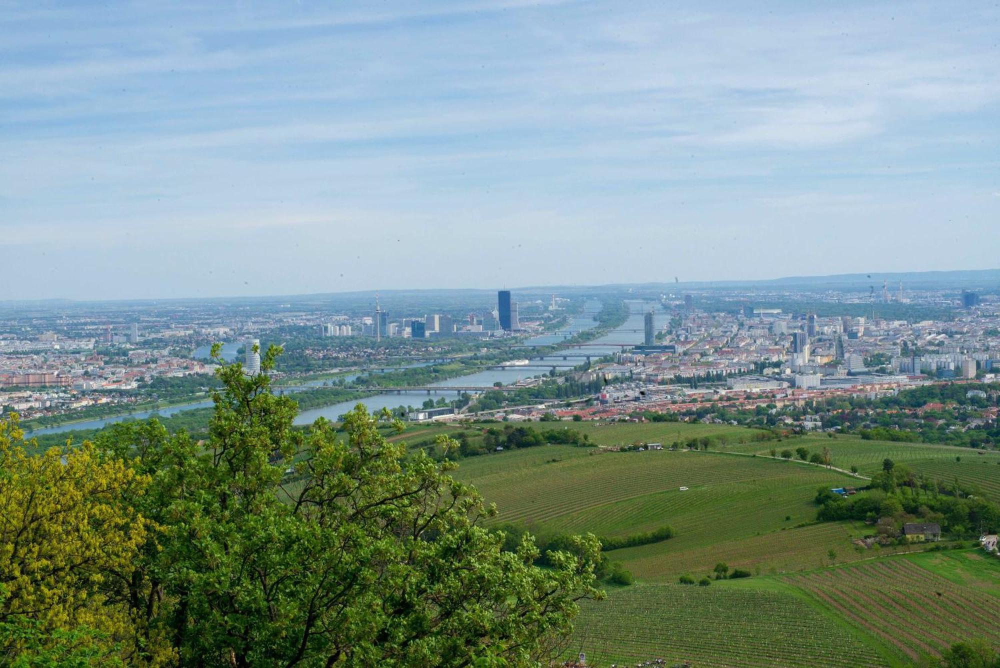 Herrlicher Ausblick Ueber Wien ภายนอก รูปภาพ