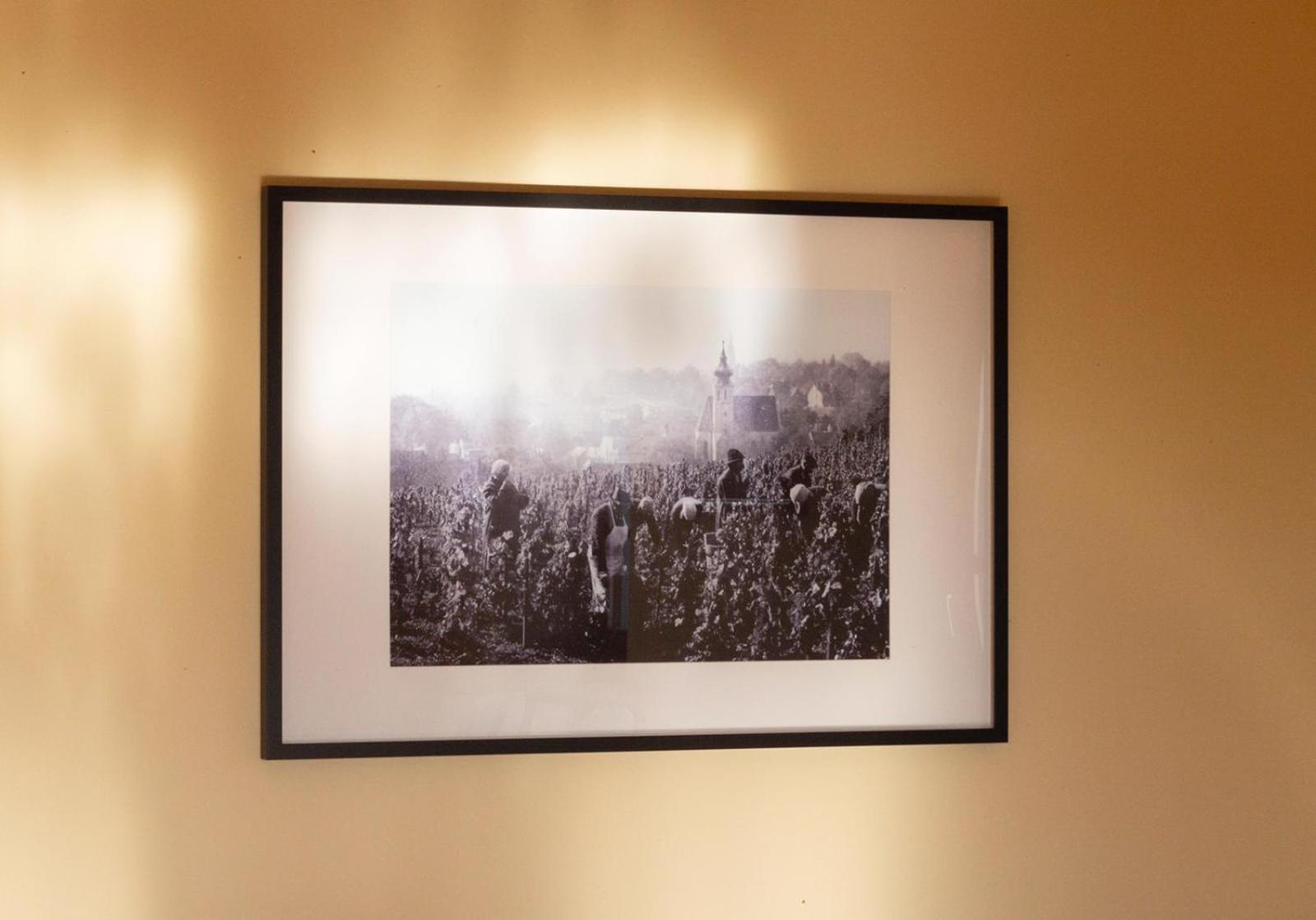 Herrlicher Ausblick Ueber Wien ภายนอก รูปภาพ